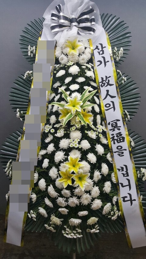 ȭȯ(ϻ굿 )