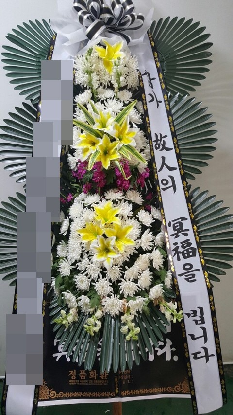 ȭȯ(뱸)