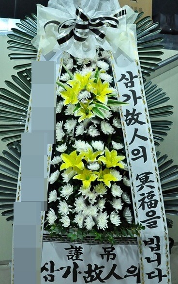 ȭȯ(泲о )