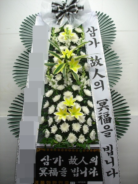 ȭȯ(뱸)