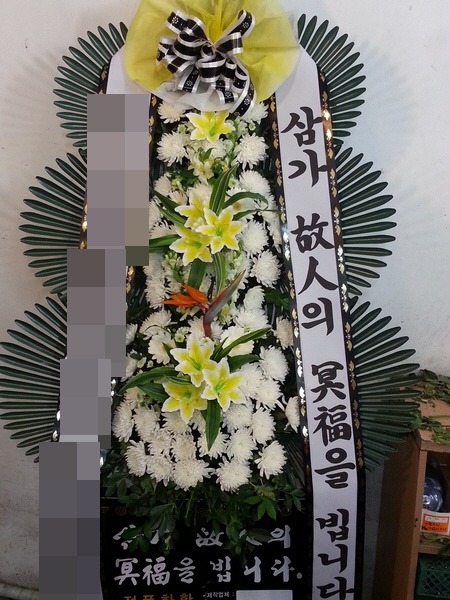 ȭȯ(뱸)