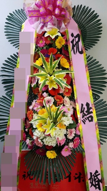 ȭȯ(뱸)