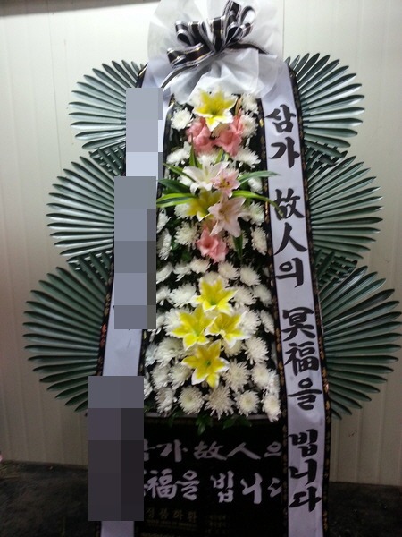 ȭȯ(뱸)