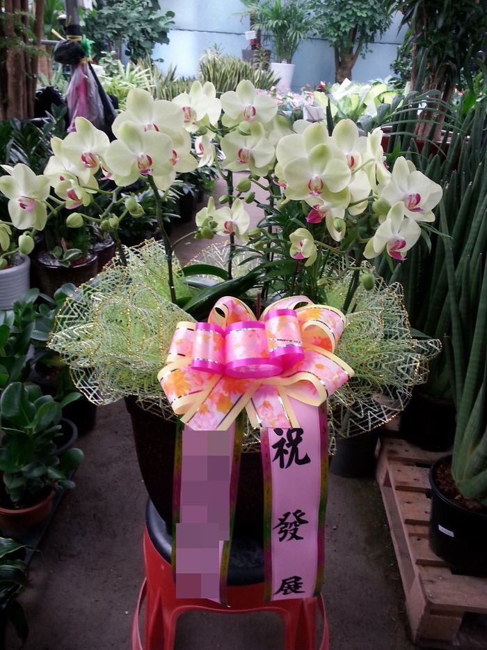 (λ)