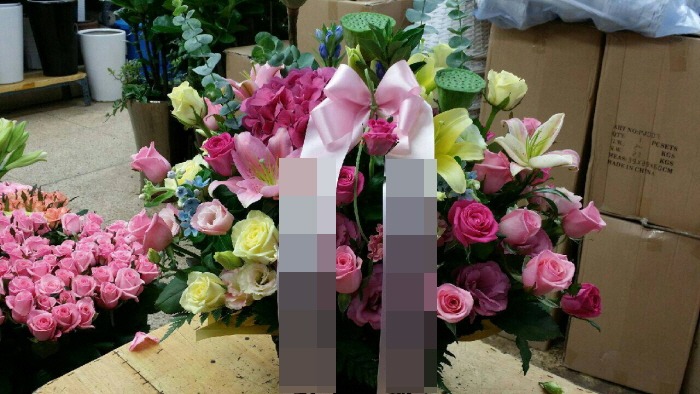 ɹٱ()