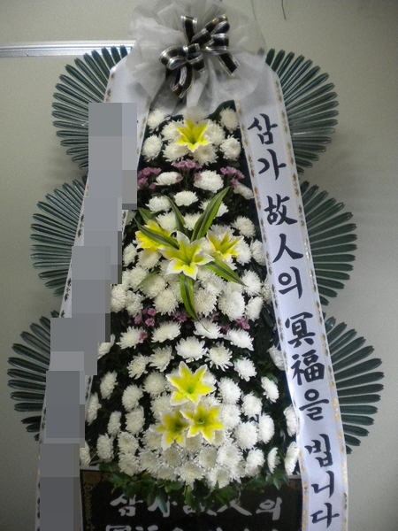 ȭȯ(뱸)