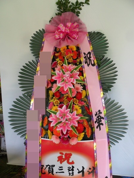 ȭȯ(泲â )
