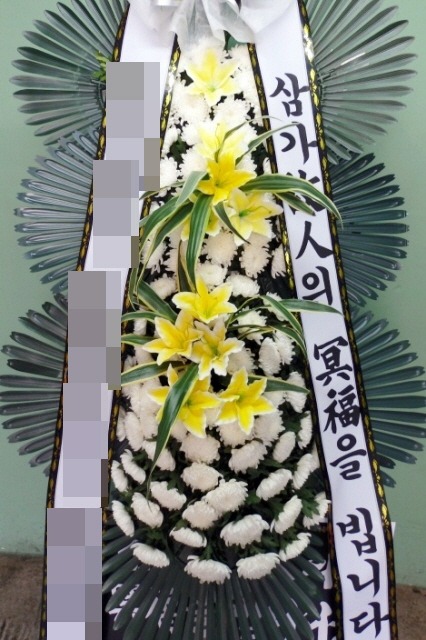 ȭȯ(뱸)
