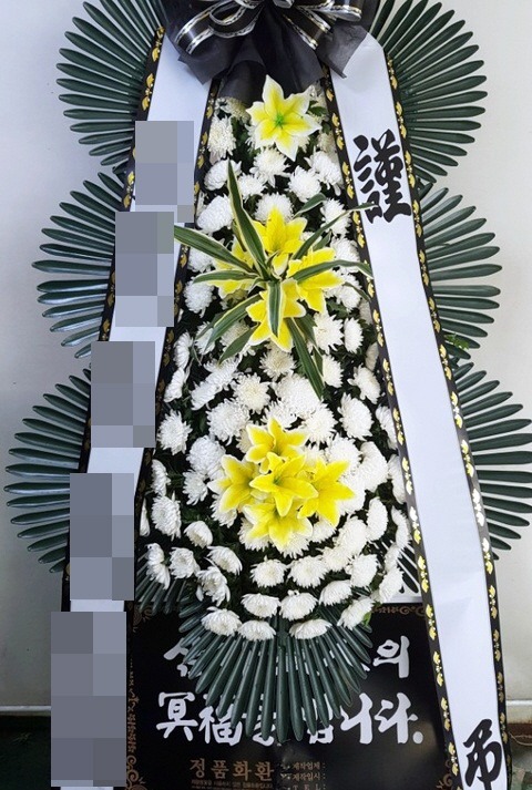 ȭȯ(뱸)