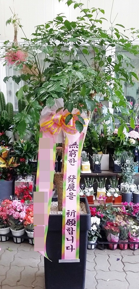 ȭ()