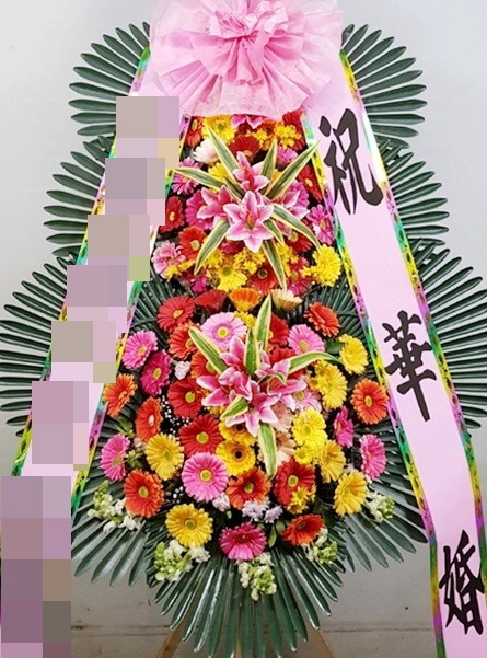 ȭȯ(뱸)