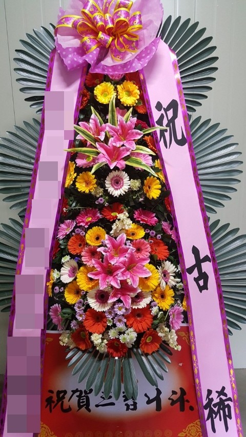 ȭȯ(뱸)