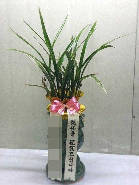 (뱸)