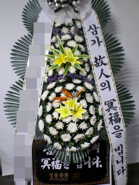 ȭȯ(뱸)