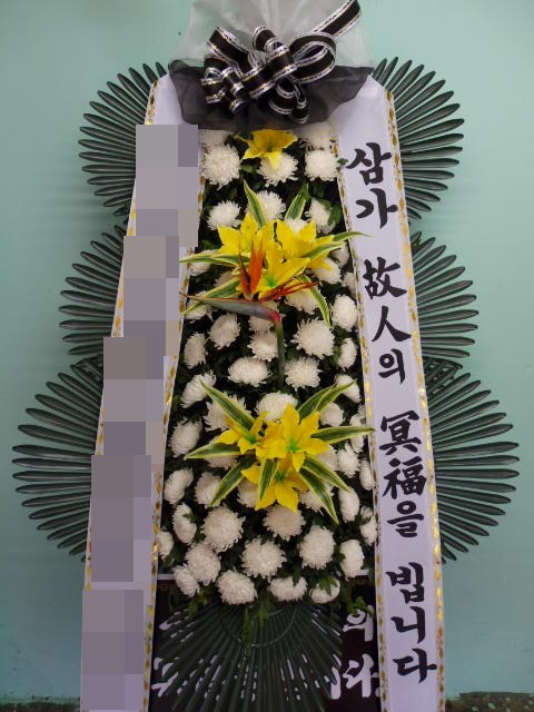 ȭȯ(뱸)
