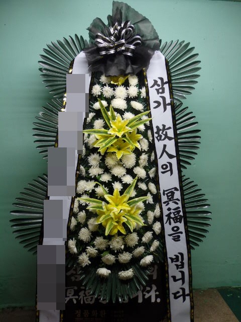 ȭȯ(뱸)
