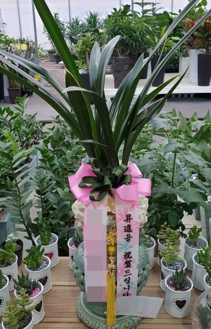 (泲ƻ)