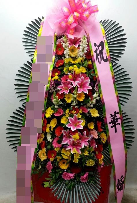 ȭȯ(뱸)