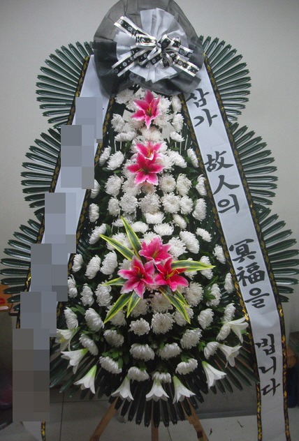 ȭȯ(泲ȫ )