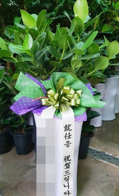 ȭĹ(뱸)