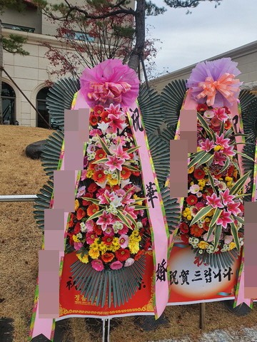ȭȯ(뱸)